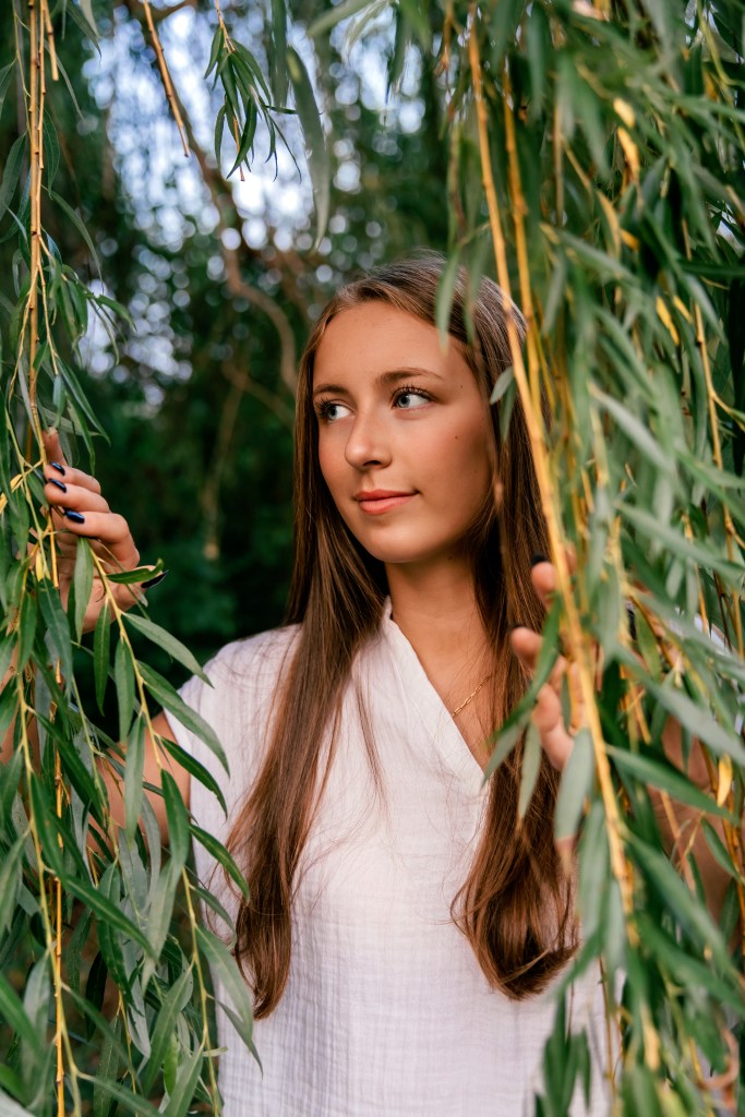 Willow tree senior picture